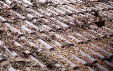 Trevowah roof cleaning companies